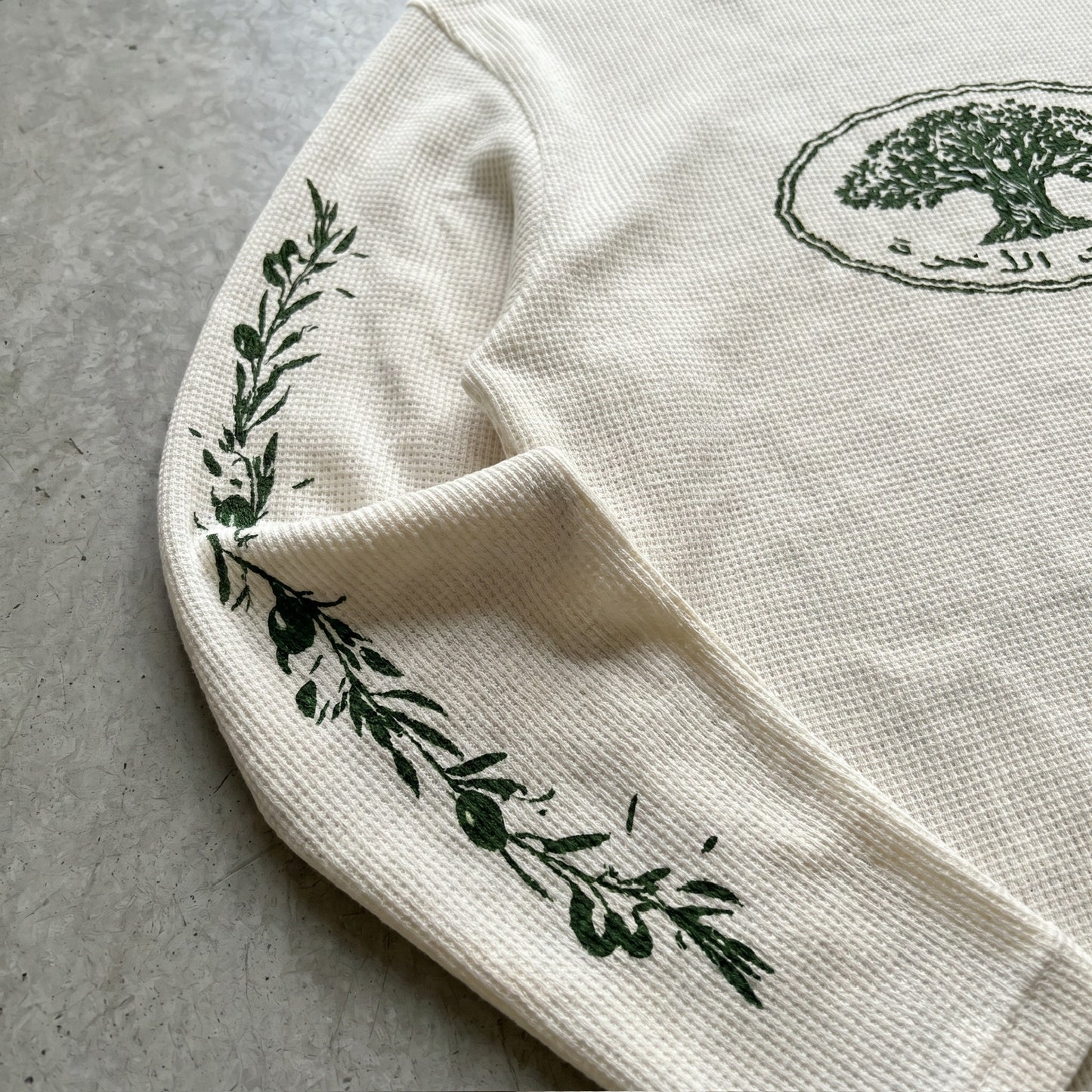 OLIVE TREE CREW - WAFFLE KNIT
